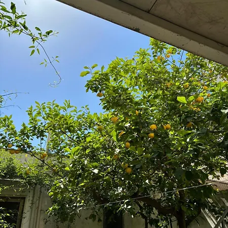 Casa Jolanda